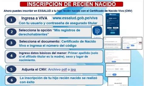 Cómo verificar si tu hijo cuenta con seguro en Essalud Guía práctica