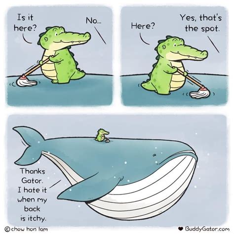 Gator is the best :) : r/wholesomememes