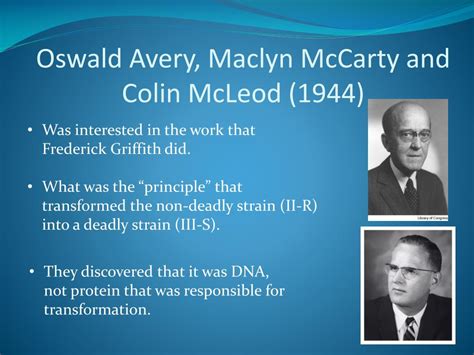 PPT - The Discovery of DNA PowerPoint Presentation, free download - ID ...