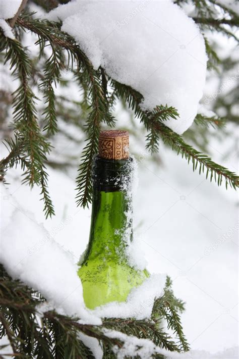 Bottle in the snow — Stock Photo © natali #1157537