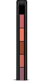 Buy Bingeable Multicolor Nude Colors 5 In 1 Long Lasting Waterproof Matte Me Liquid Lipstick 7