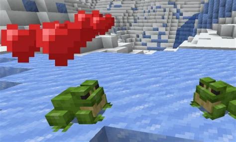 How To Tame Frogs In Minecraft 119 Update