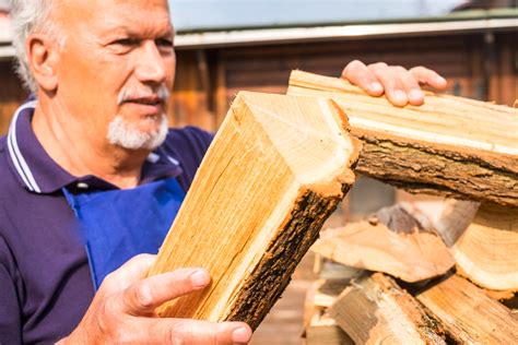 Fabriquer Ses Pellets De Bois En Est Ce Une Option Conomique