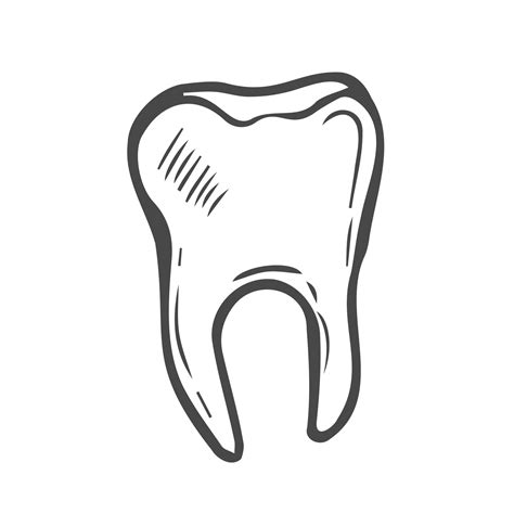 Molar Tooth Clipart