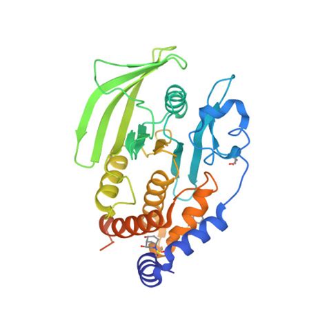 Rcsb Pdb Qfr Pandda Analysis Group Deposition Crystal Structure