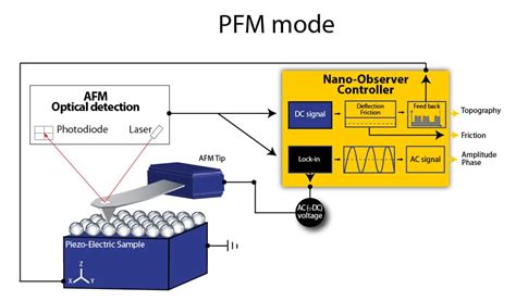 Piezoresponse Force Microscopy