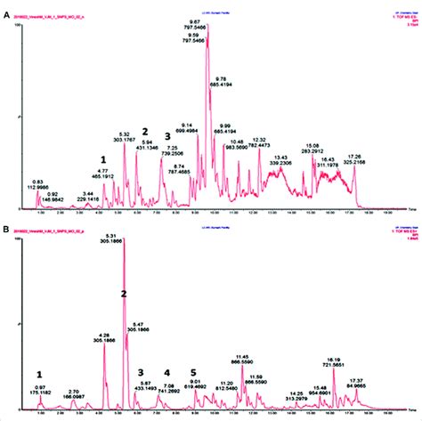 Uplc Qtof Msms Total Ion Chromatogram For M Oppositifolia Extract A Download Scientific