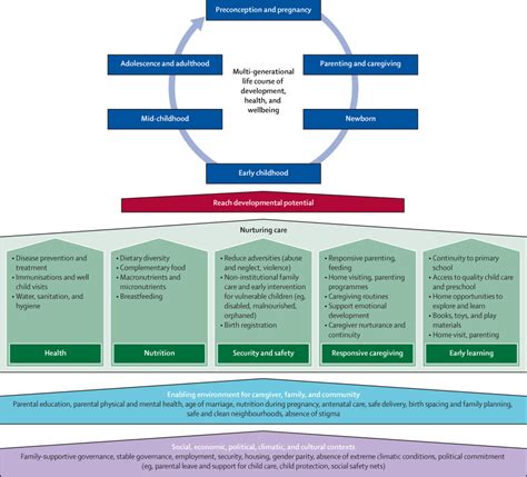 Early Childhood Development Coming Of Age Science Through The Life