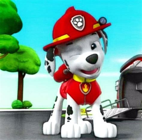 Marshallgallery Paw Patrol Wiki Fandom Paw Patrol Cartoon Images