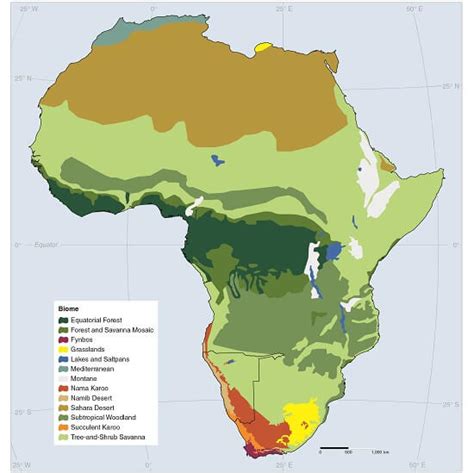 Types Of Vegetation Atlas Of Namibia