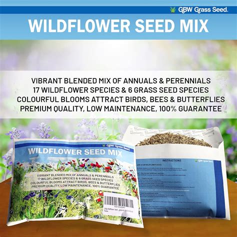 100g Wildflower And Meadow Grass Seed Mix 2080 Ratio Covers 20 M2