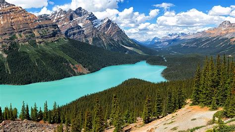 🥇 National park canada peyto lake rocky mountains wallpaper | (89424)