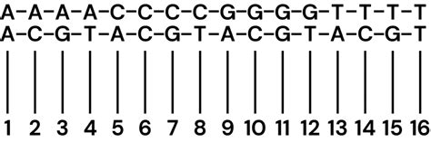 Simultaneous Sequencing Of Genetic Epigenetic Data