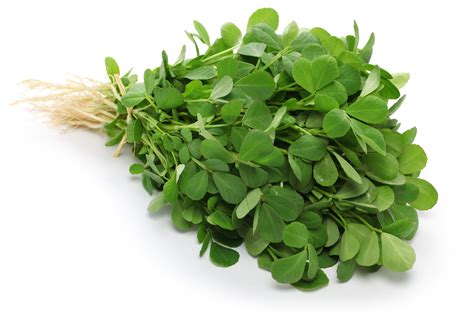 Fenugreek - Heirloom – Hometown Seeds