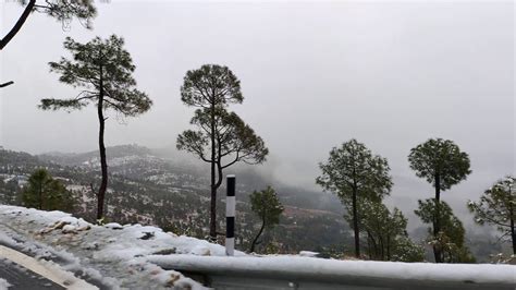 This Year First Snowfall ☃️ Chaukori Pithoragarh Uttrakhand Youtube