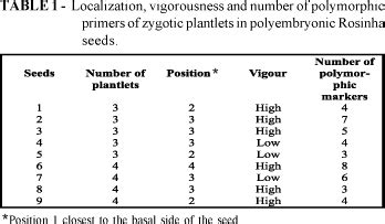 Scielo Brasil Identification Of Plantlet Genetic Origin In