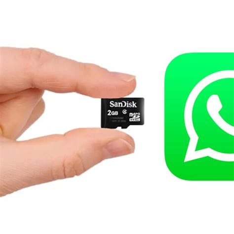 Guarda las fotos y vídeos de WhatsApp en la tarjeta SD