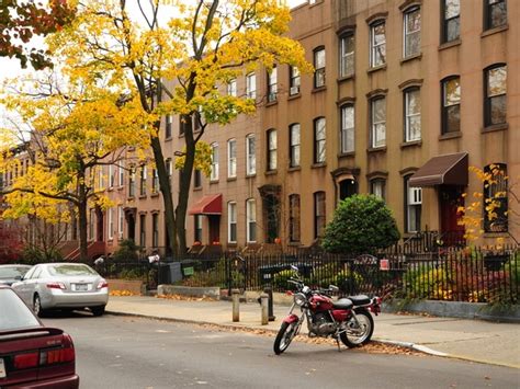 Carroll Gardens Brooklyn Neighborhood Guide Nyc June 2025