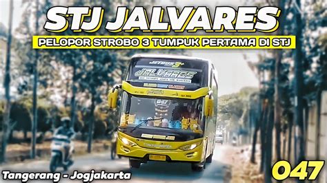 PELOPOR STROBO 3 TUMPUK PERTAMA DI STJ BUS PERINTIS STJ JALVARES FULL