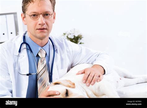 Portrait Of Male Vet Stock Photo Alamy