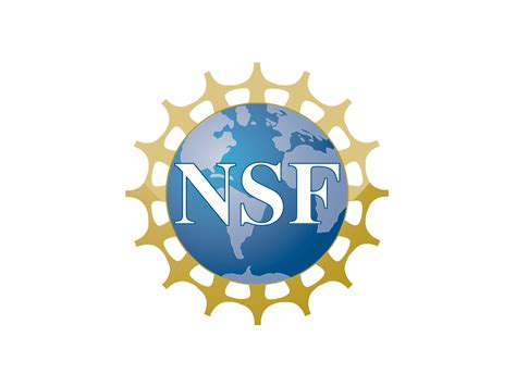 Assistant Professor Deborah Perlstein Awarded Nsf Faculty Early Career