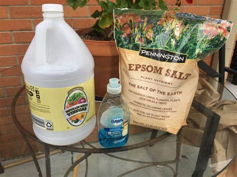 How To Make Diy Weed Killer Only 3 Ingredients The Kitchen Garten