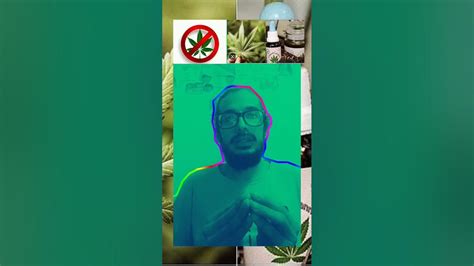 Legalizar O No La Marihuana Youtube