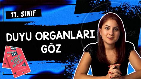 9 GÖZ DUYU ORGANLARI 1 11 SINIF AYT BİYOLOJİ DERS NOTLARI