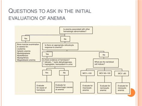 Anemia Overview