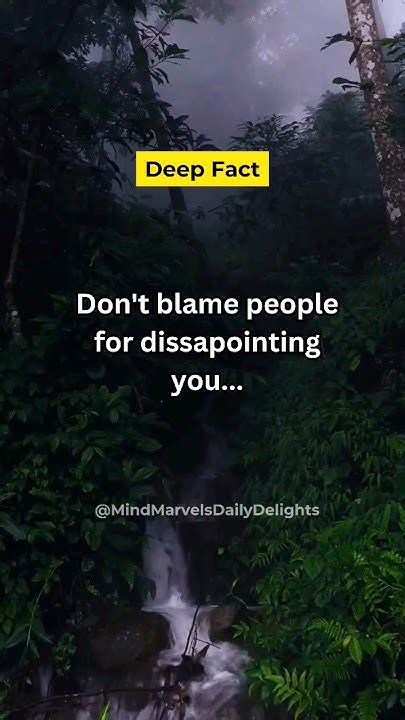 Don T Blame People For Disappointing You Shorts Facts Mindmarvelsdailydelights Youtube