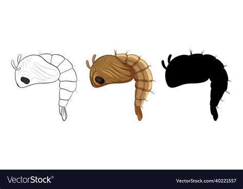 Set of pupa mosquito in three style Royalty Free Vector