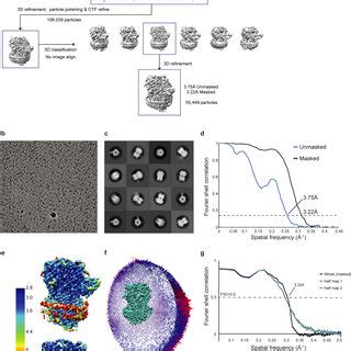 Cryo-EM image processing procedure a, Overview of cryo-EM data ...