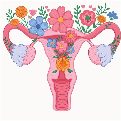 Female Uterus Organ With Flowers Female Reproductive System Healthcare