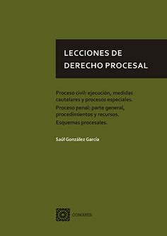 LECCIONES DE DERECHO PROCESAL Proceso civil ejecución medidas