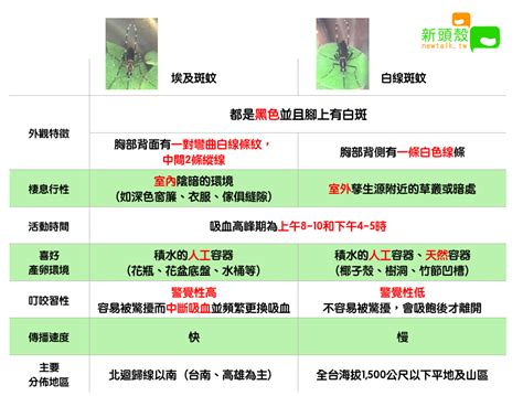 本土登革熱疫情嚴峻！一圖看懂台灣2種病媒蚊差別