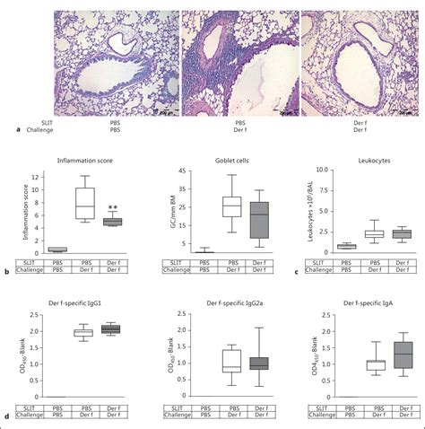 Figure 1 From House Dust Mite Specific Sublingual Immunotherapy