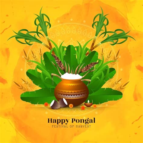 Pongal 2024 Day 4: Date, Significance And Rituals Of Kaanum, The Last ...