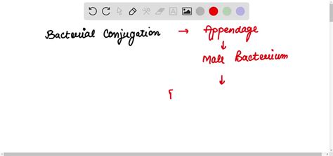 Solved If A Prokaryotic Cell Cant Make A Sex Pilus Which Of The