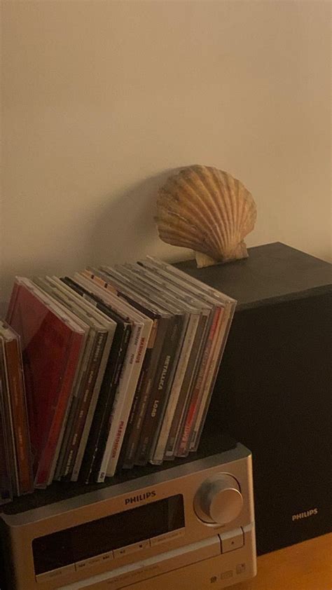Cd Storage Ideas To Organize Your Collection In Style Topaba