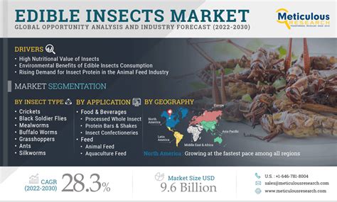 Global Edible Insects Market Forecast To 2030 Bygora