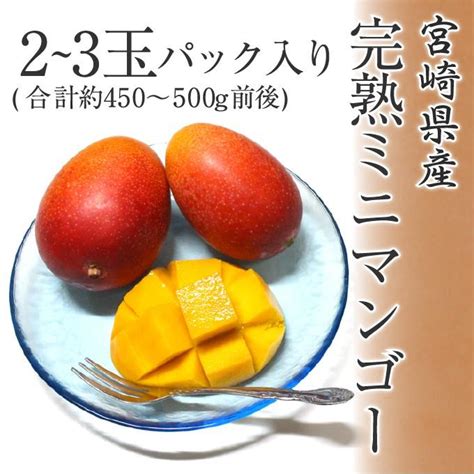 4月中旬頃より発送 2024 プレゼント ギフト 宮崎県産 完熟マンゴー 2〜3玉入り 合計約450〜500g前後 パック入リ ミニ