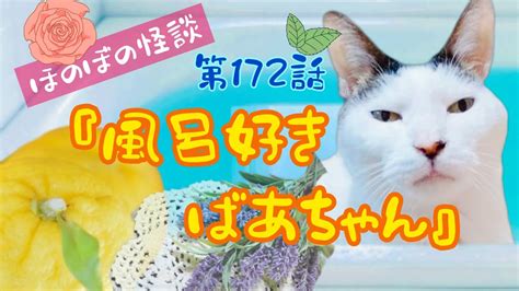 【ほのぼの怪談】【猫が語る不思議な話】【猫動画】怪談ねこ語り 第172話『風呂好きばあちゃん』 Youtube