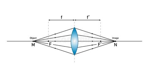 Konvexe Schematische Darstellung In Der Optikphysik Vektor Abbildung