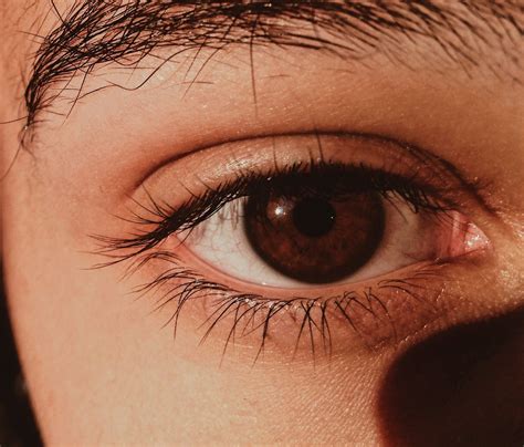 ⋆ Pinterest: GeorgyyyB ⋆ | Brown eyes aesthetic, Pretty eyes, Brown eyes