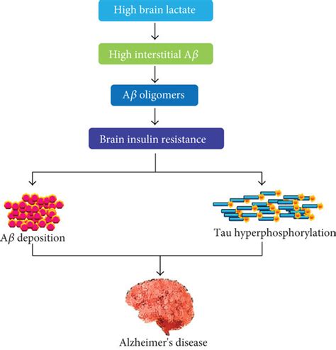 The Role Of Insulin Resistance In The Pathogenesis Of Alzheimer’s Disease Download Scientific