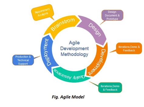 Agile Model Software Engineering Javatpoint