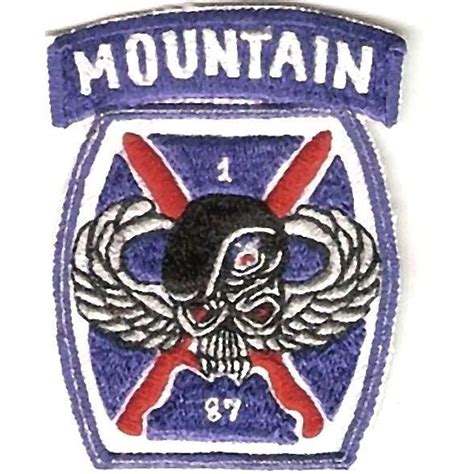 Us Army Iraq Afghanistan 10th Mountain Division 87th Infantry Regiment