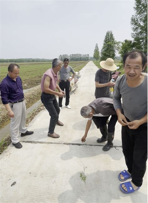 孝南朱湖：全域国土综合整治后，耕地面积增加5000亩 荆楚网 湖北日报网