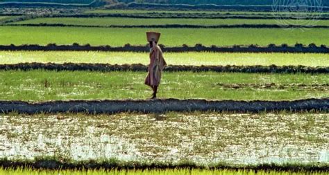 Land Tenure Security Un Habitat