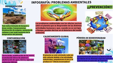 INFOGRAFÍA PROBLEMAS AMBIENTALES